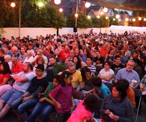 Night-Audience