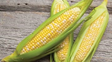 Mirai Corn Image