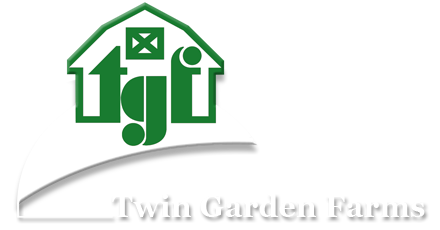 Mirai Corn TG Farms